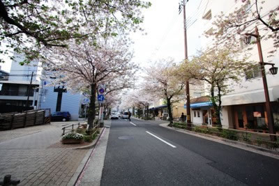リトルパークスタジオ芦屋本店 内装 外装 什器 看板 工事 店舗デザイン 店舗工事 店舗内装 改装のセンシン 大阪 神戸