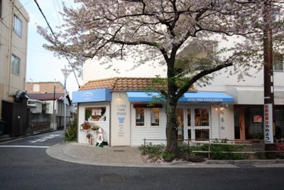 街路樹の桜 巨大です シーズンになると 桜があまりにもでかいため 桜のトンネルになります。