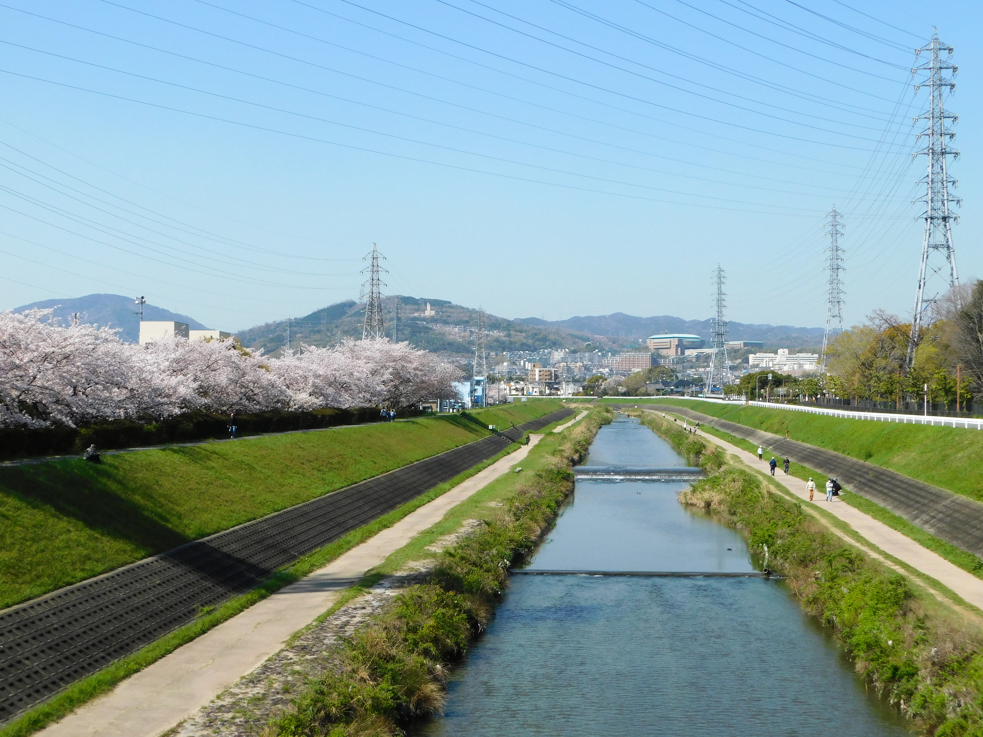 自然と都市のバランス